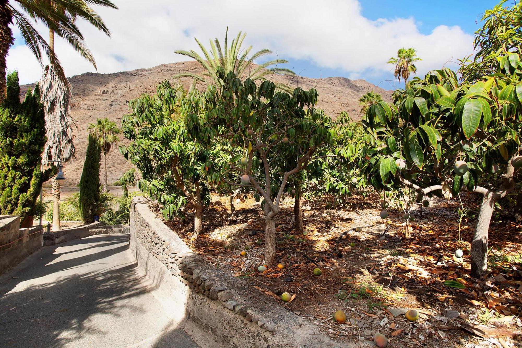 Paraiso Del Molinero Bajo Mogán Exteriér fotografie